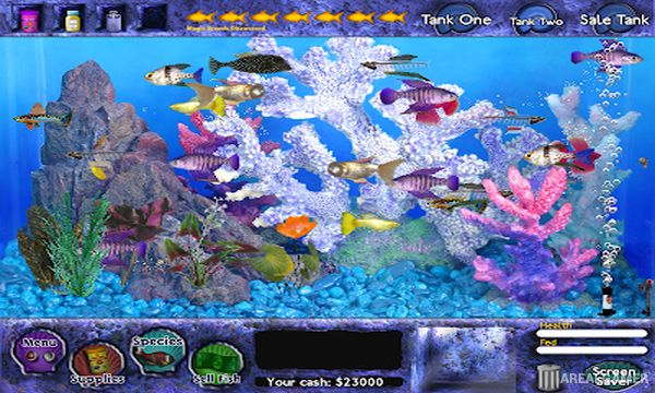 fish tycoon free download full version mac