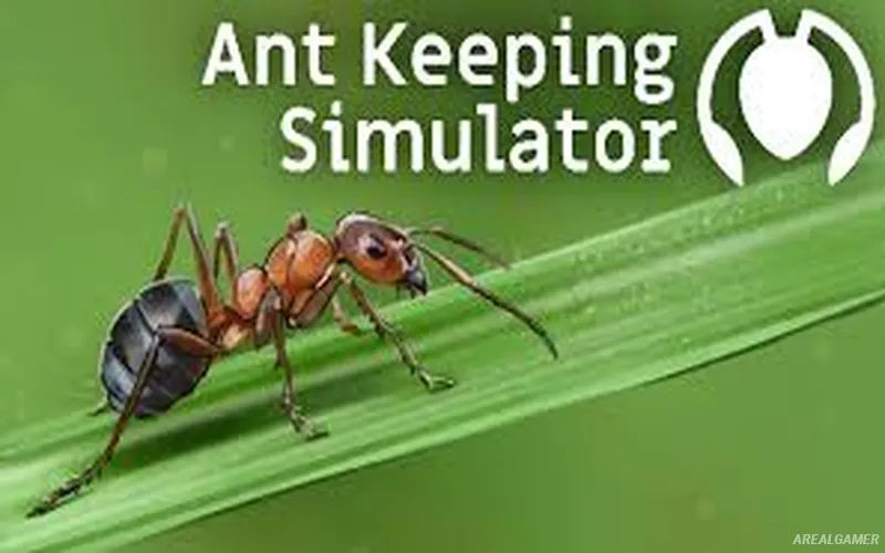 Ant Keeping Simulator